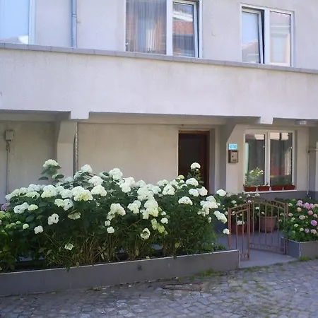 Old Town Apartamento Sozopol